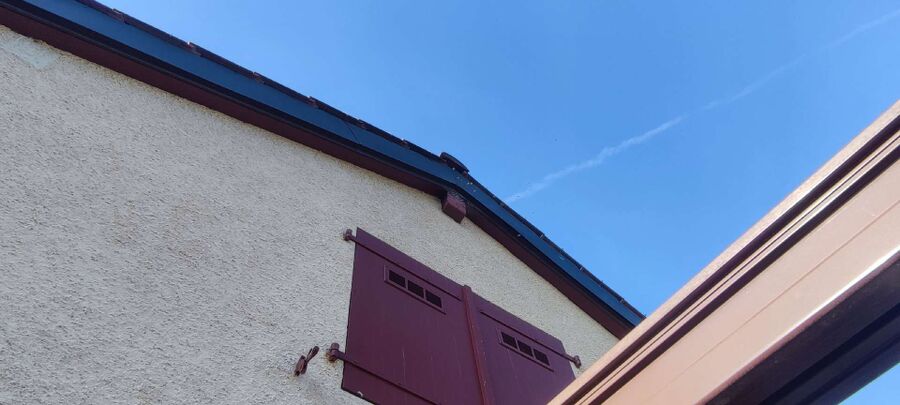 exterminateur d insectes a-Murten.jpg