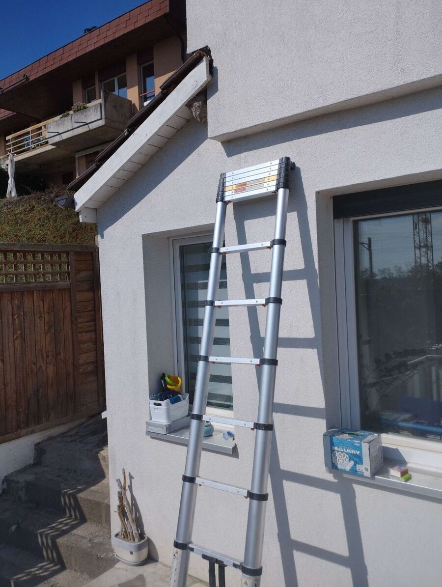 exterminateur d insectes a-Pont-en-Ogoz.jpg