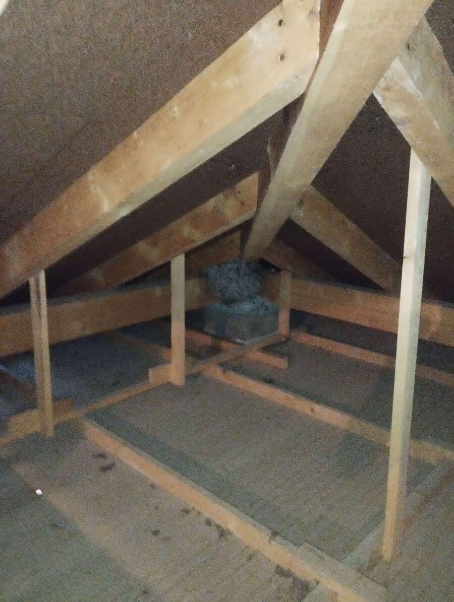 exterminateur d insectes a-Carouge (GE).jpg