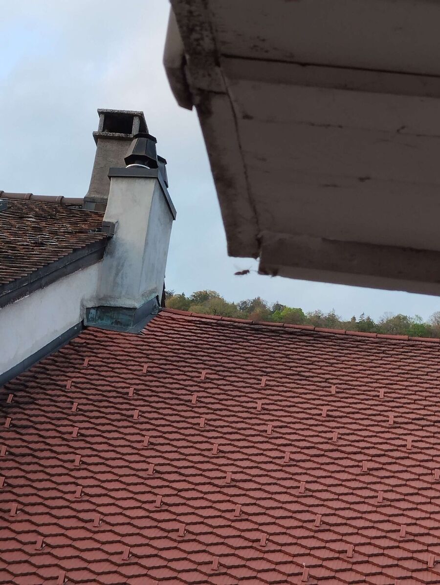 exterminateur d insectes a-Prez.jpg