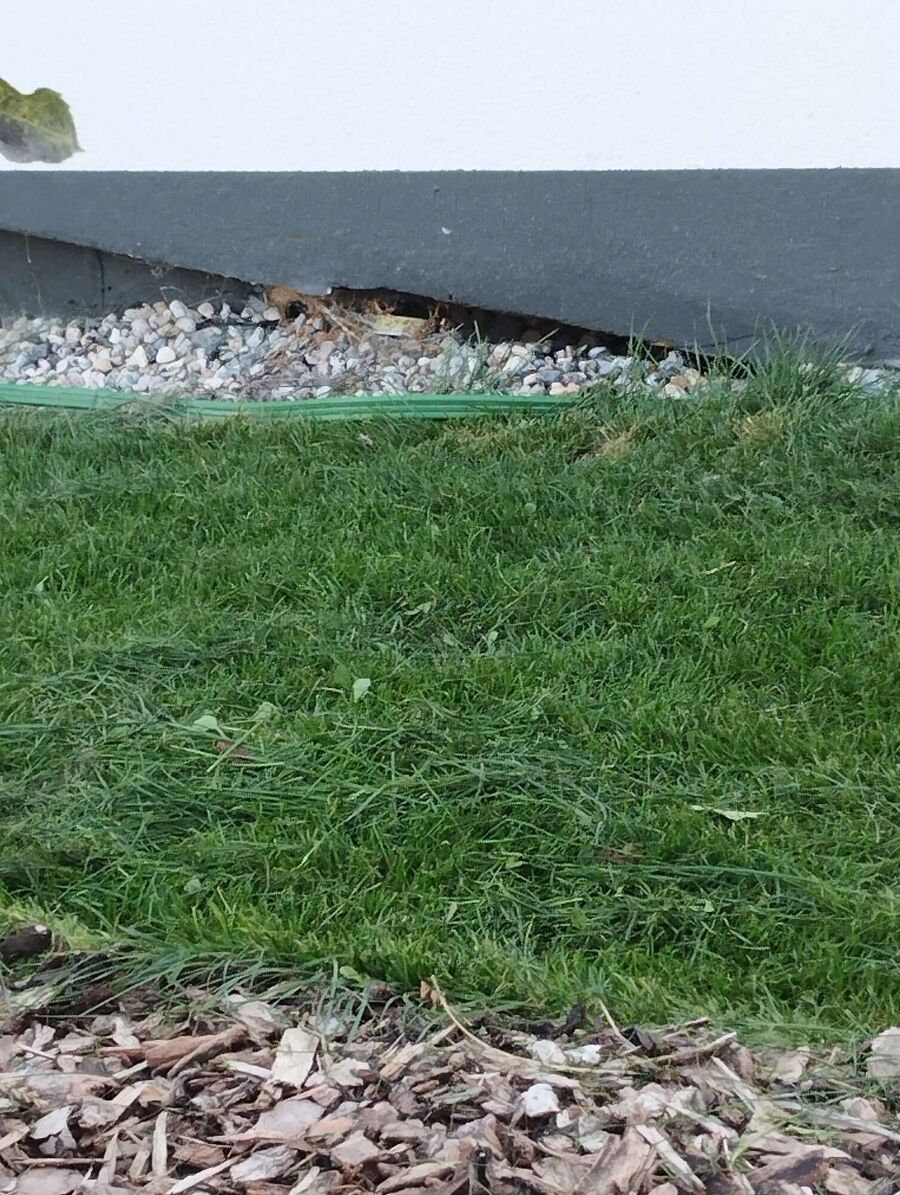 exterminateur d insectes a-Ried bei Kerzers.jpg