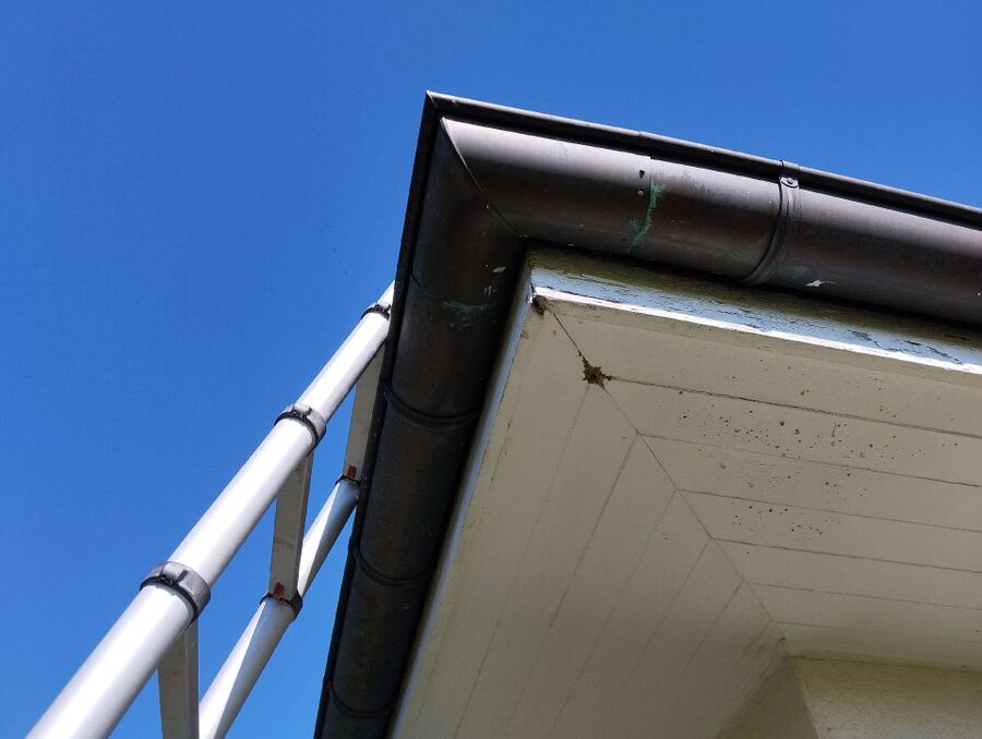 exterminateur d insectes a-Saint-Aubin (FR).jpg