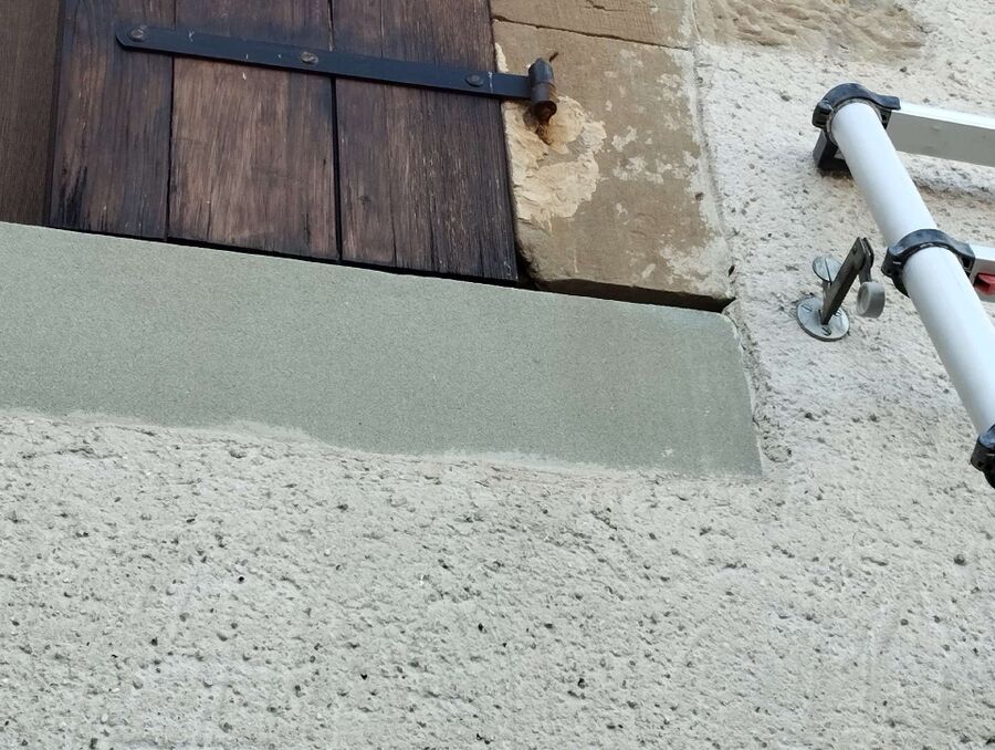 exterminateur d insectes a-Sâles.jpg