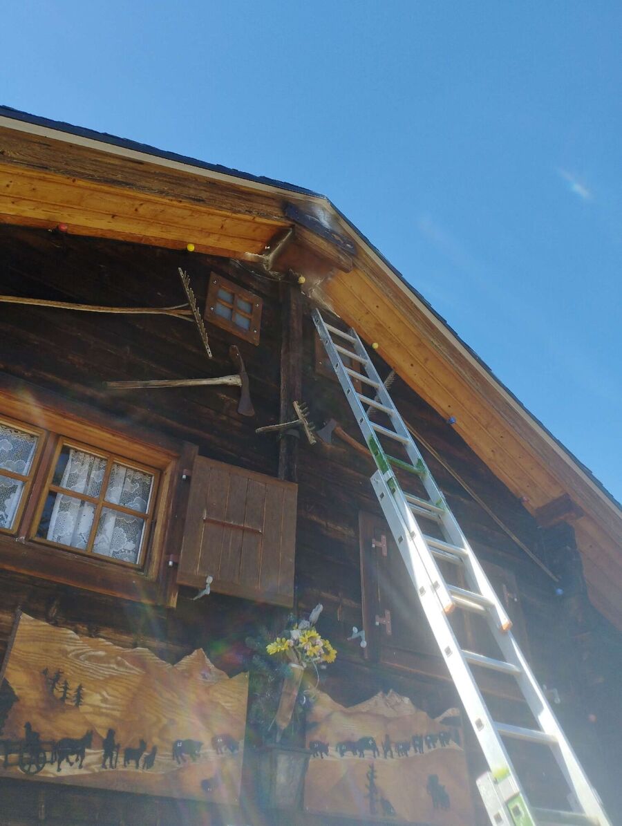 exterminateur d insectes a-Schmitten (FR).jpg