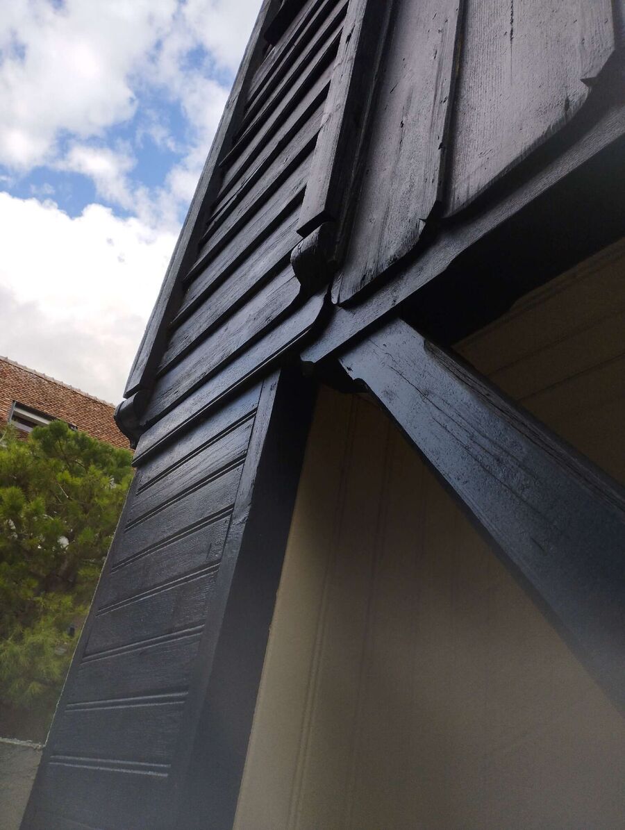 exterminateur d insectes a-Semsales.jpg