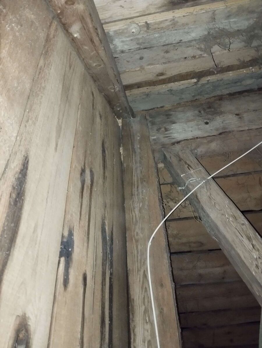 exterminateur d insectes a-Sévaz.jpg