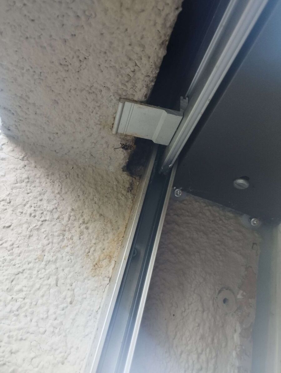 exterminateur d insectes a-St. Ursen.jpg