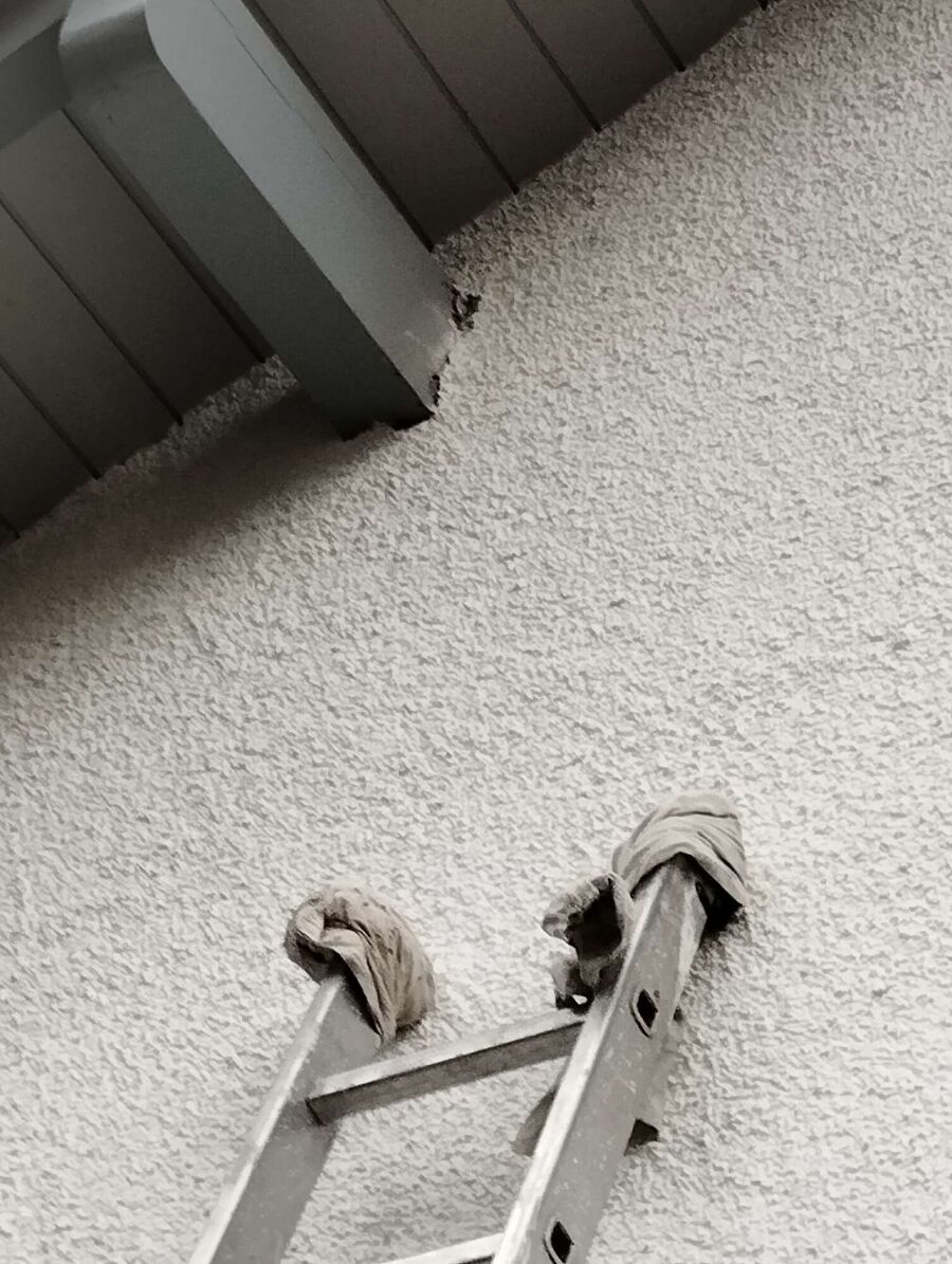 exterminateur d insectes a-Céligny.jpg