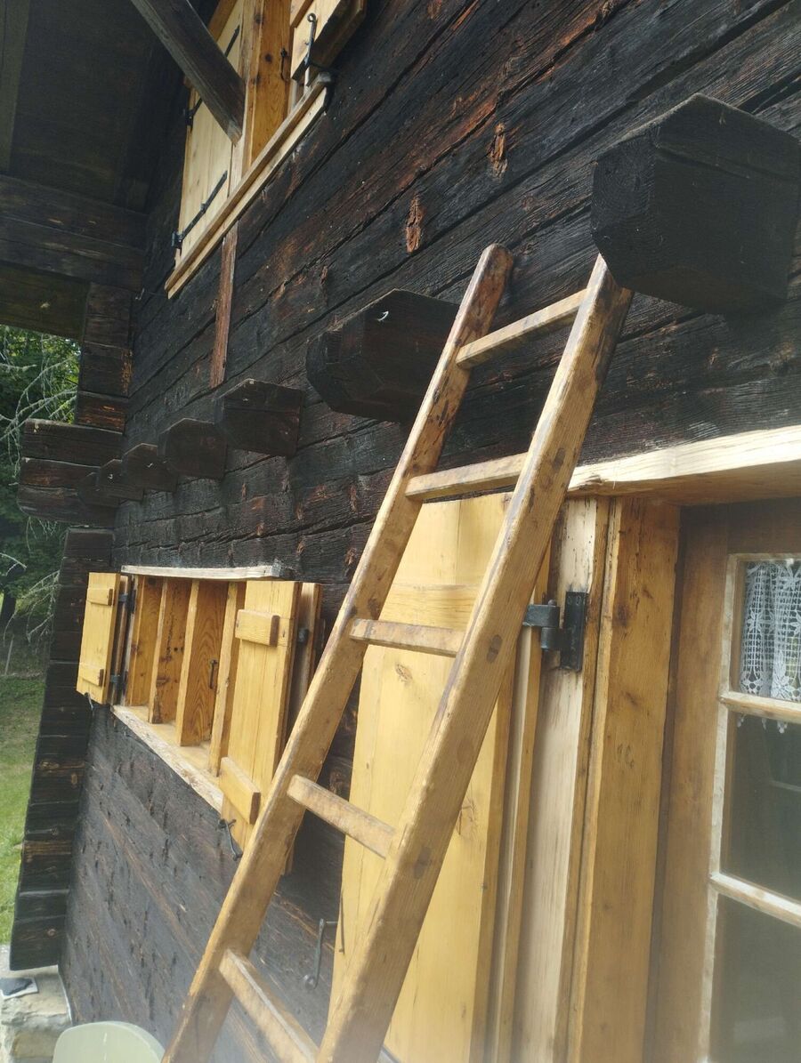 exterminateur d insectes a-Ueberstorf.jpg