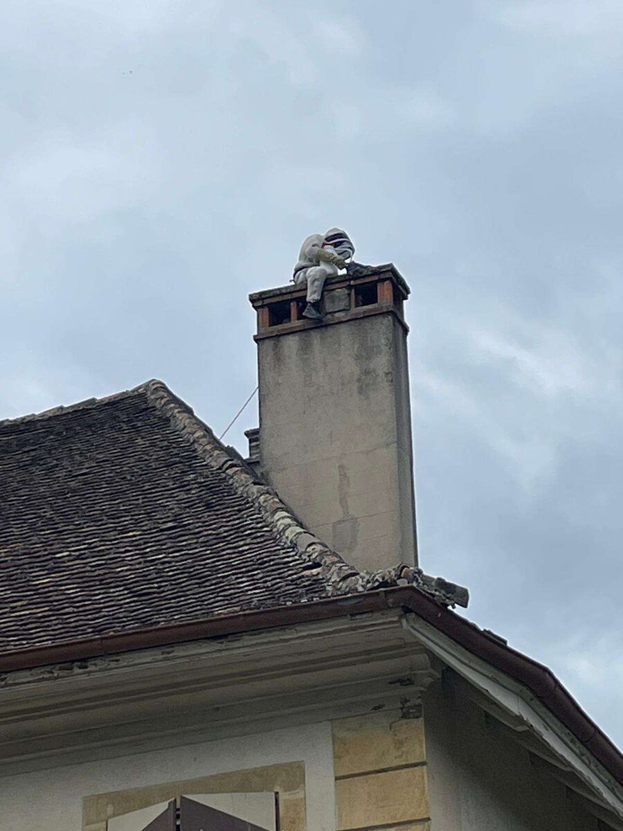 exterminateur d insectes a-Ulmiz.jpg