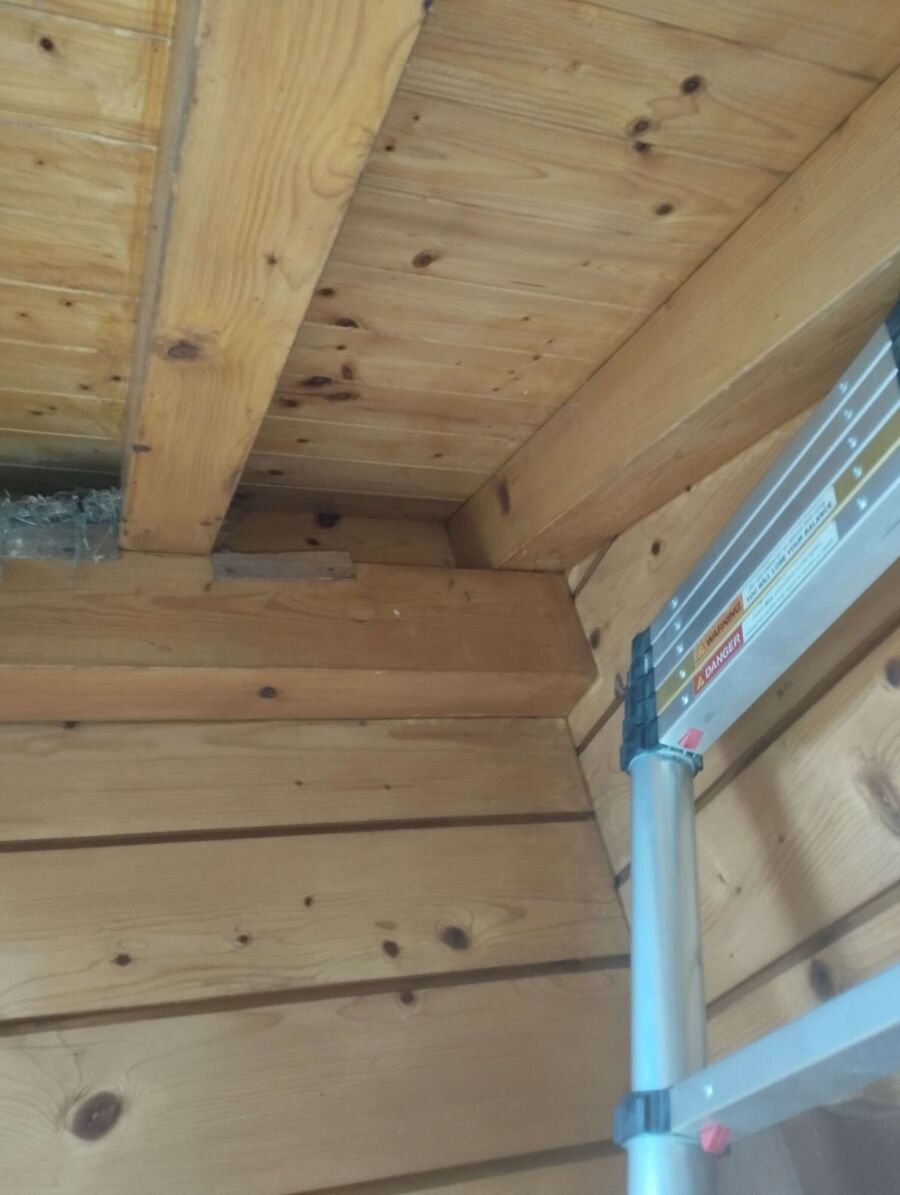 exterminateur d insectes a-Val-de-Charmey.jpg