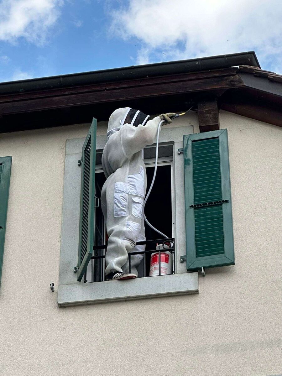 exterminateur d insectes a-Chancy.jpg