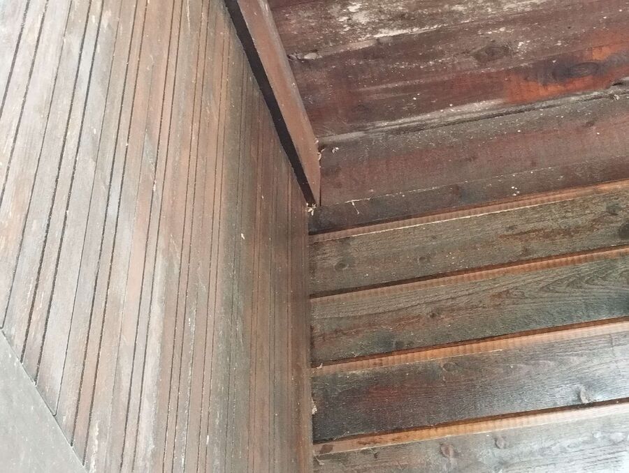 exterminateur d insectes a-Villars-sur-Glâne.jpg