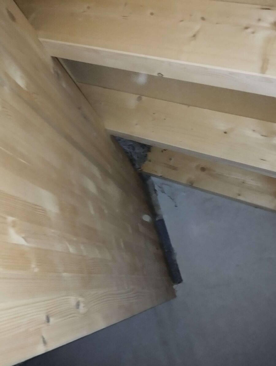 exterminateur d insectes a-Villorsonnens.jpg