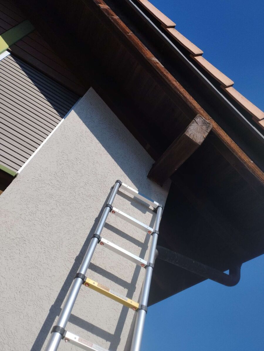 exterminateur d insectes a-Vuadens.jpg