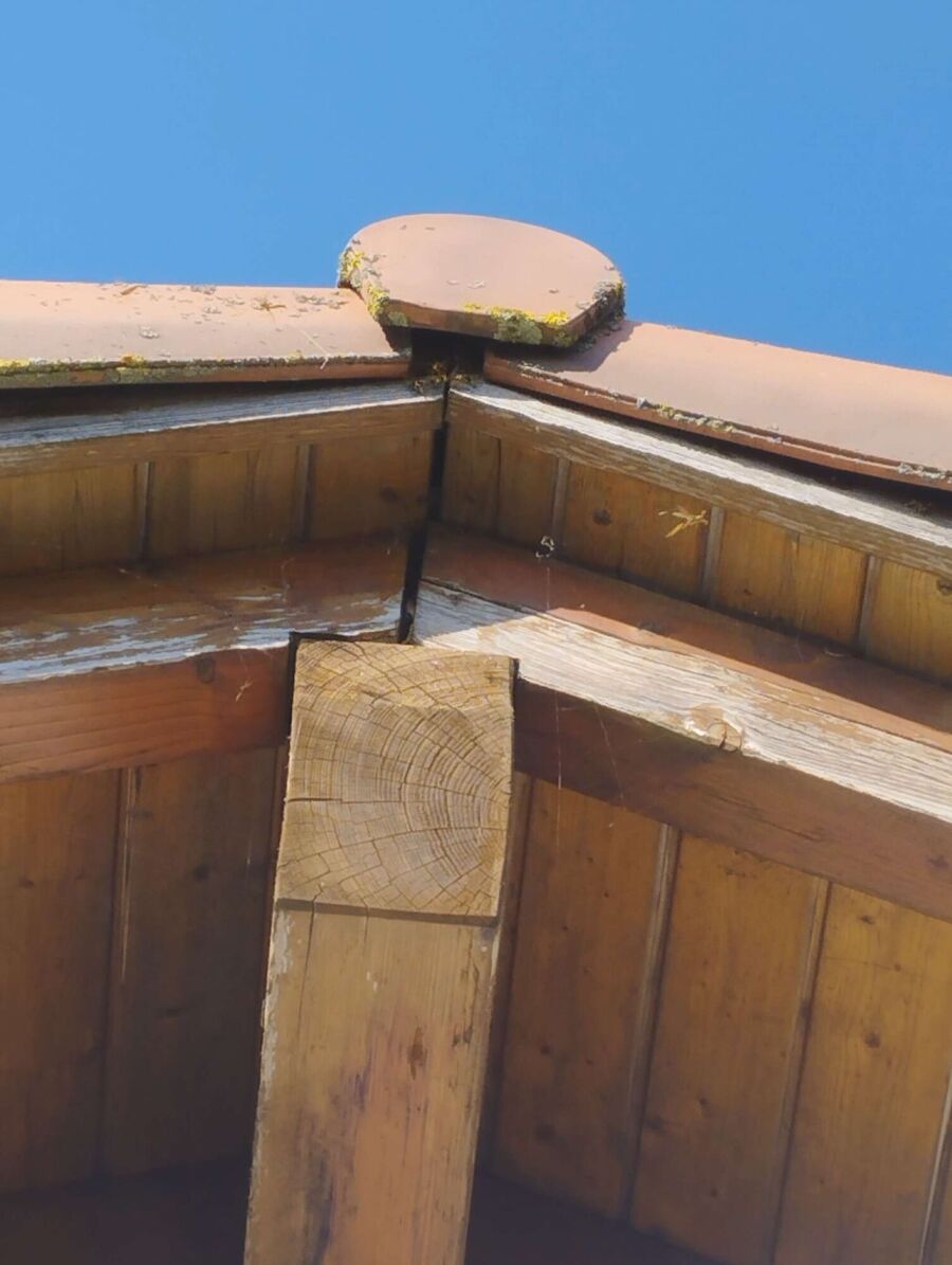 exterminateur d insectes a-Vuisternens-devant-Romont.jpg