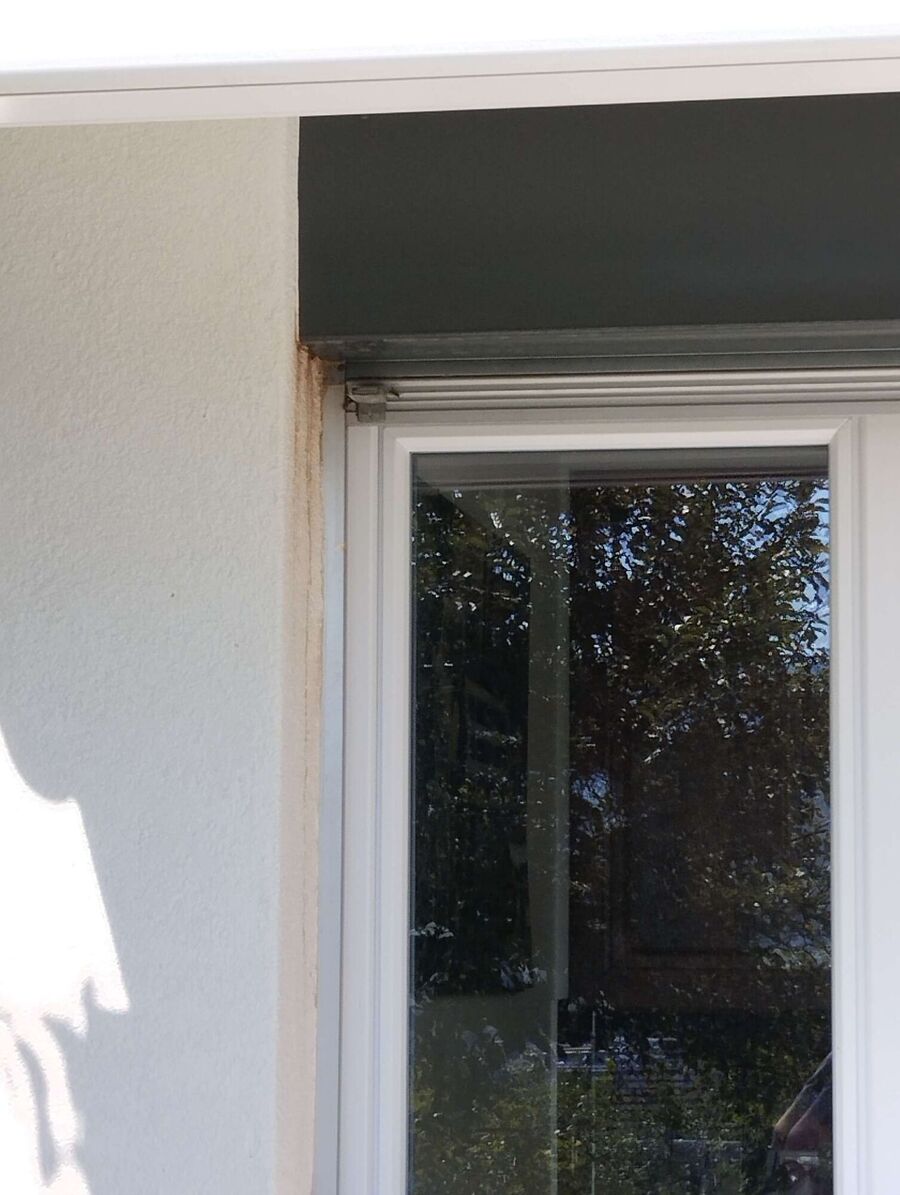 exterminateur d insectes a-Aigle.jpg