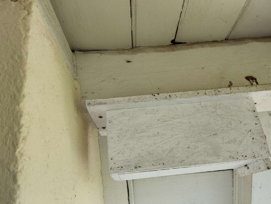 exterminateur d insectes a-Arnex-sur-Nyon.jpg