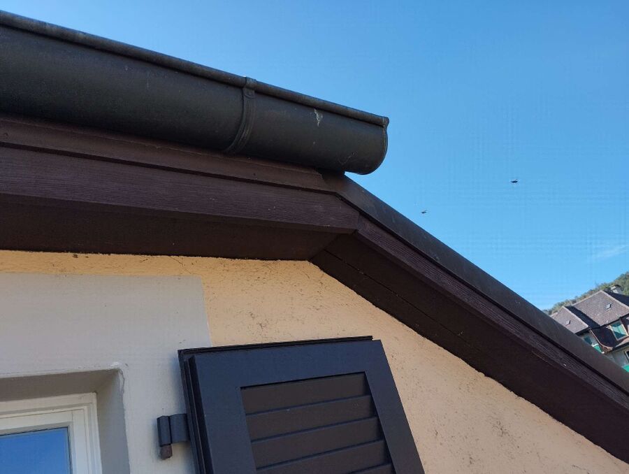 exterminateur d insectes a-Arnex-sur-Orbe.jpg