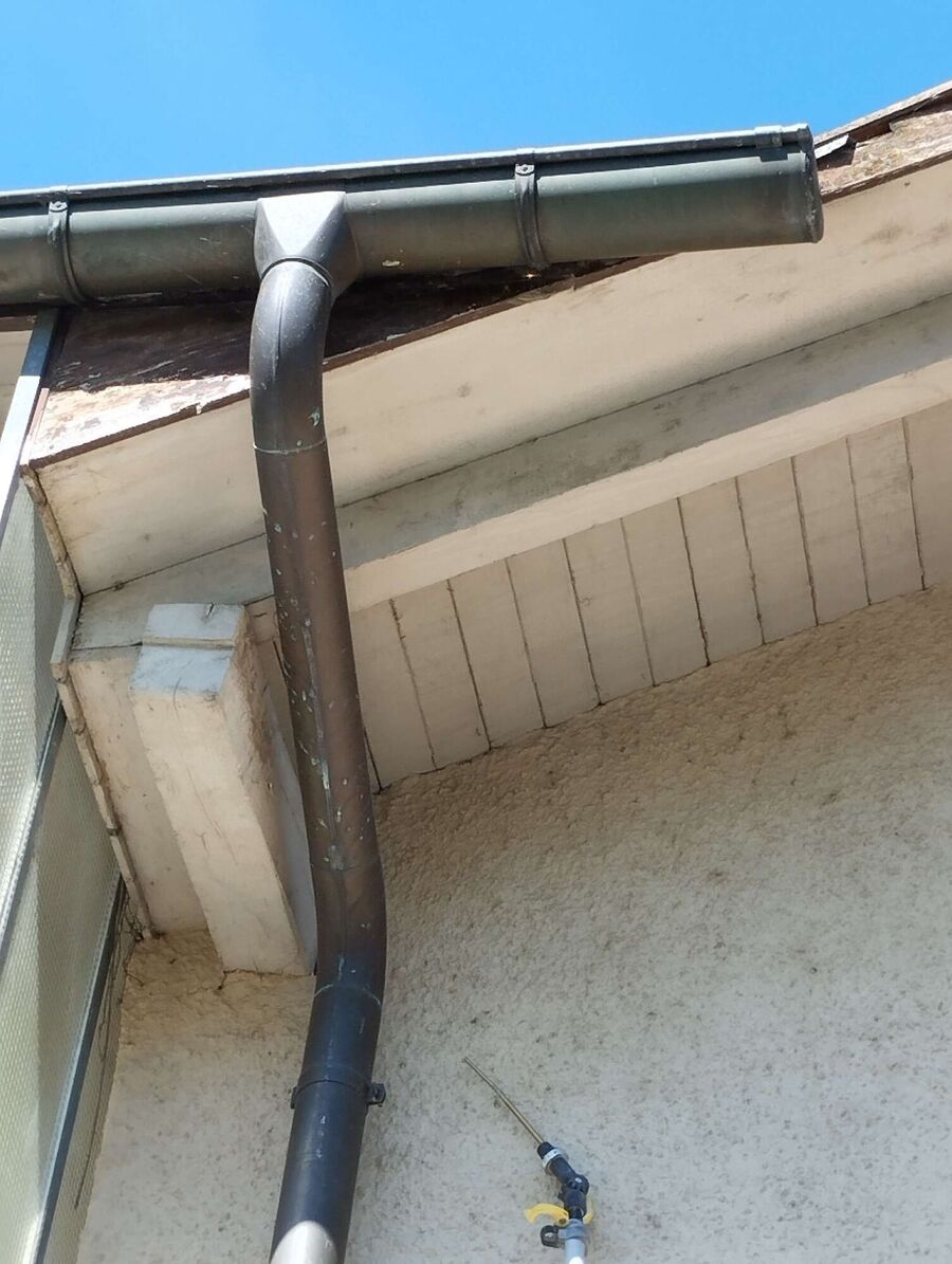 exterminateur d insectes a-Arzier-Le Muids.jpg