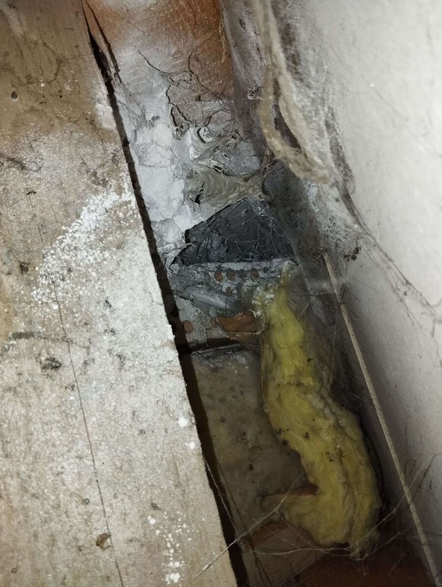 exterminateur d insectes a-Aubonne.jpg