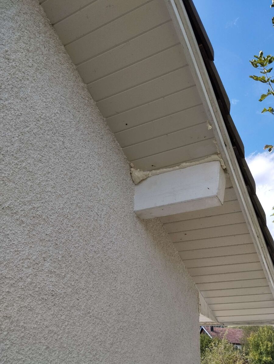 exterminateur d insectes a-Ballens.jpg