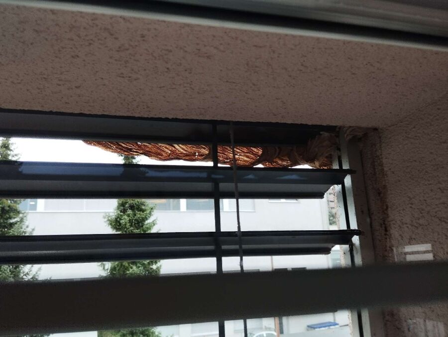 exterminateur d insectes a-Bercher.jpg