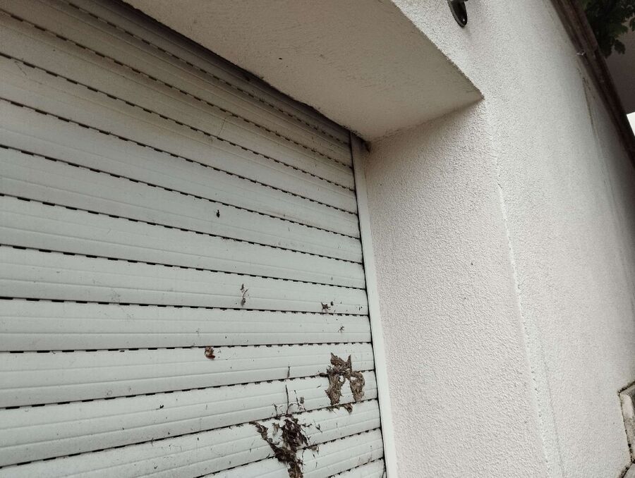 exterminateur d insectes a-Berolle.jpg