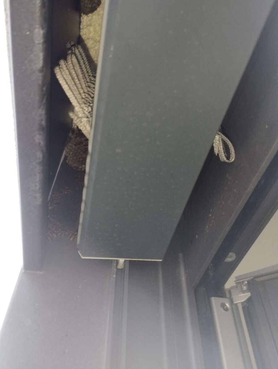 exterminateur d insectes a-Bettens.jpg