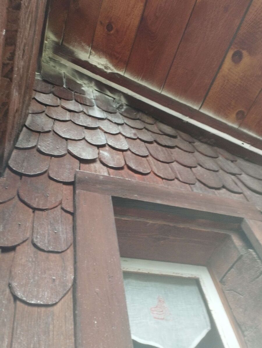 exterminateur d insectes a-Bex.jpg