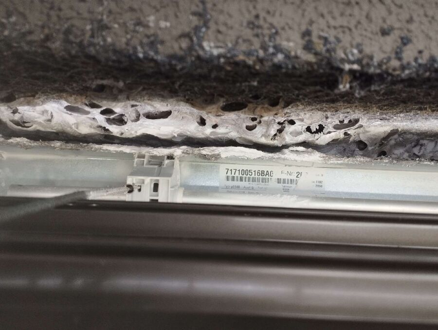 exterminateur d insectes a-Blonay - Saint-Légier.jpg