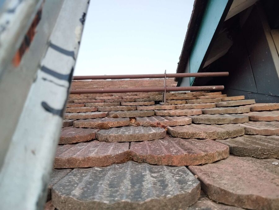 exterminateur d insectes a-Bourg-en-Lavaux.jpg