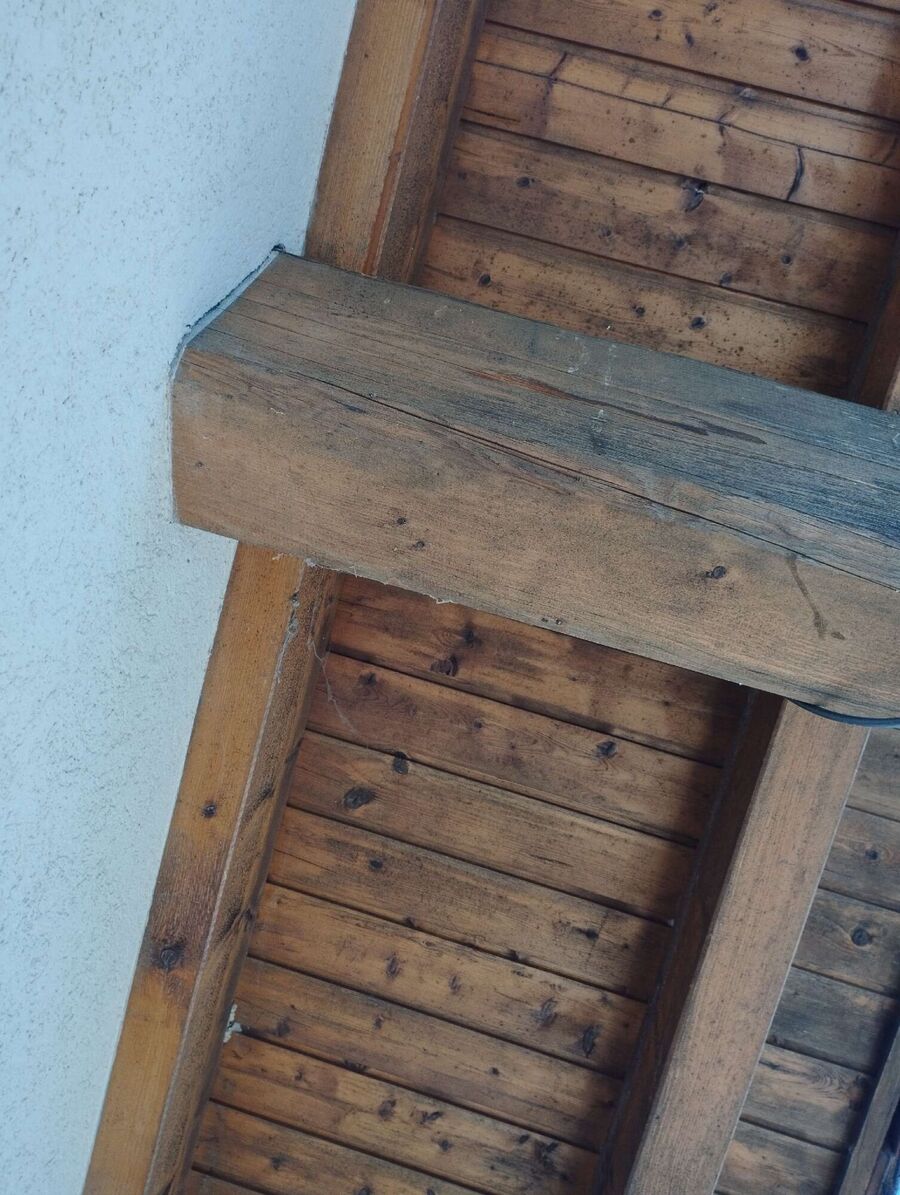 exterminateur d insectes a-Boussens.jpg