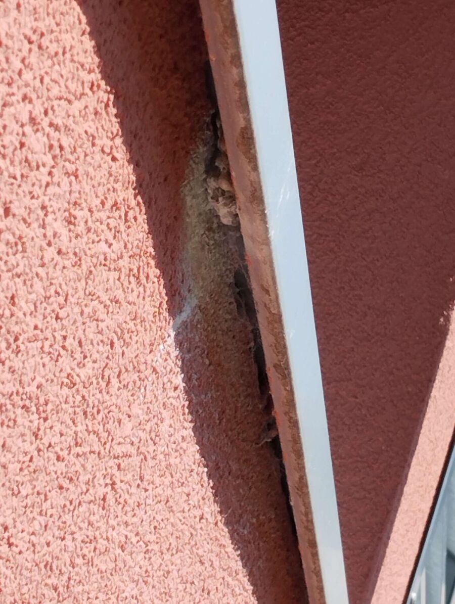 exterminateur d insectes a-Bretonnières.jpg