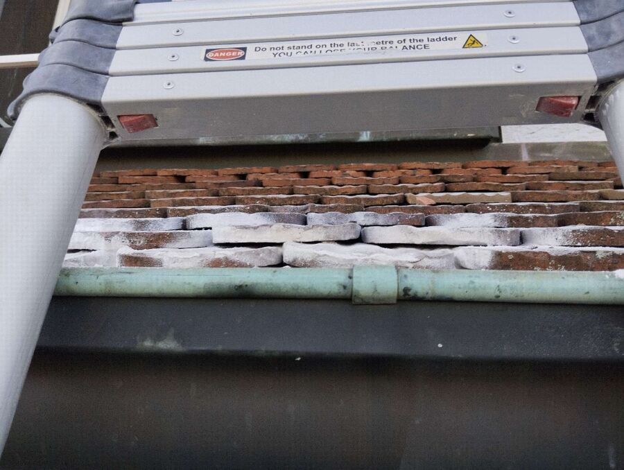 exterminateur d insectes a-Bullet.jpg