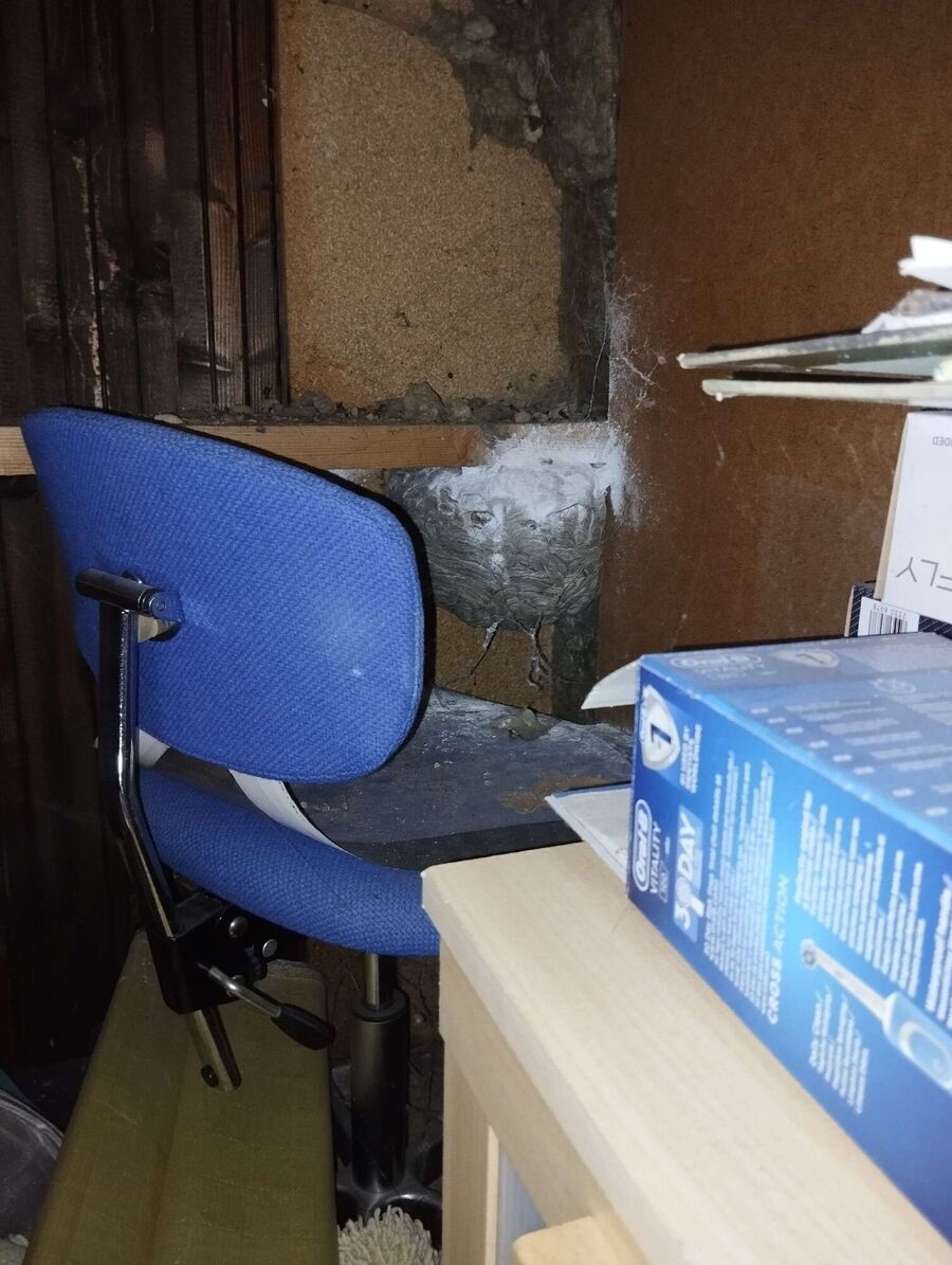 exterminateur d insectes a-Collonge-Bellerive.jpg