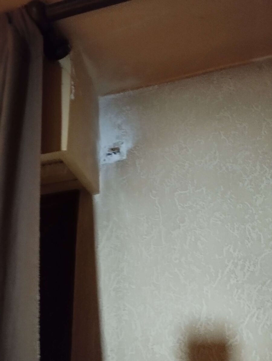 exterminateur d insectes a-Burtigny.jpg