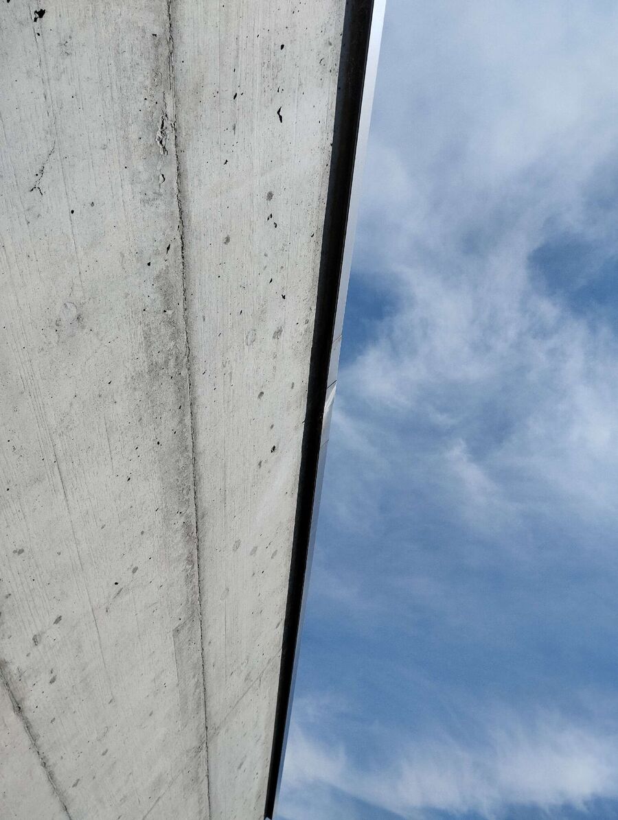 exterminateur d insectes a-Chardonne.jpg