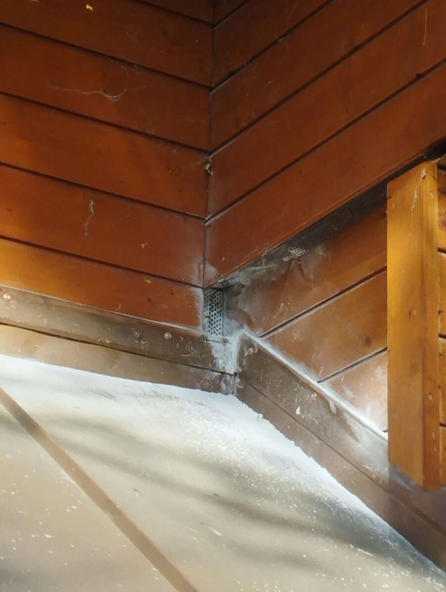 exterminateur d insectes a-Cologny.jpg