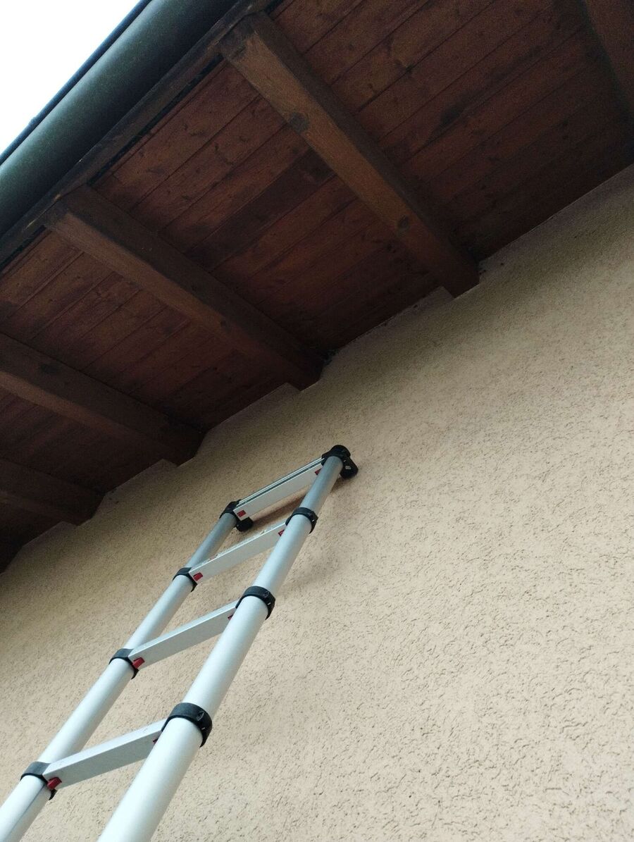 exterminateur d insectes a-Chavannes-près-Renens.jpg