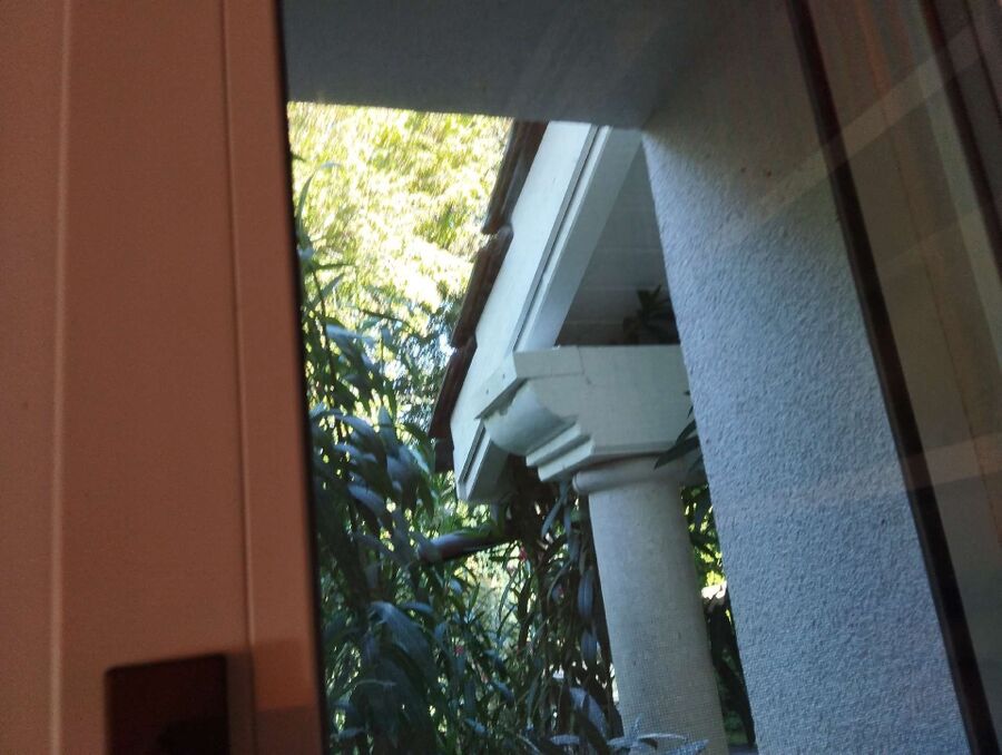 exterminateur d insectes a-Chavornay.jpg