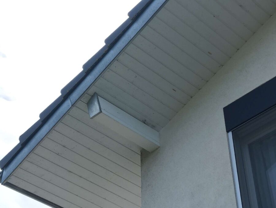 exterminateur d insectes a-Chêne-Pâquier.jpg