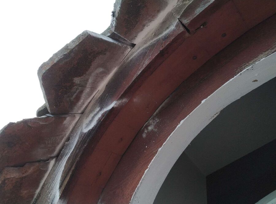 exterminateur d insectes a-Cheseaux-Noréaz.jpg