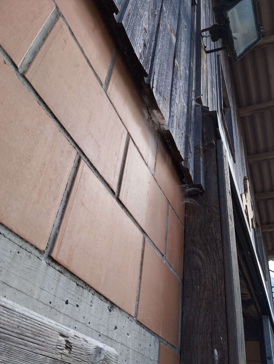 exterminateur d insectes a-Confignon.jpg