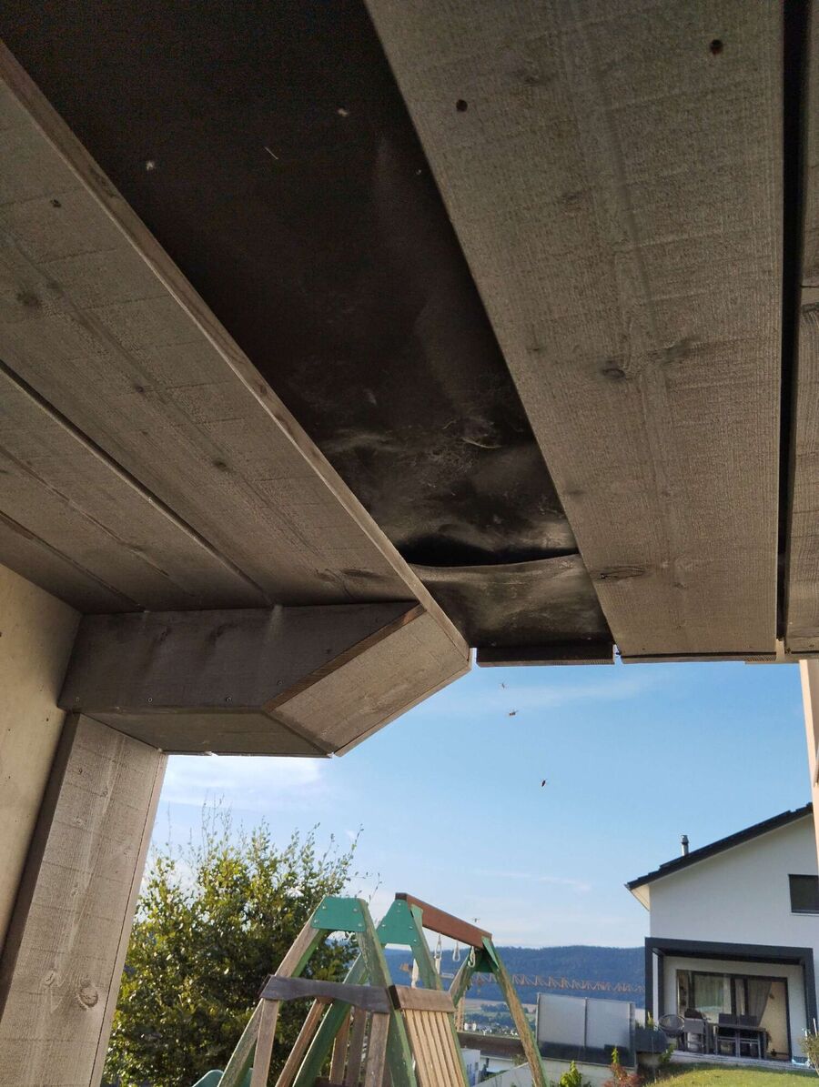 exterminateur d insectes a-Chevroux.jpg