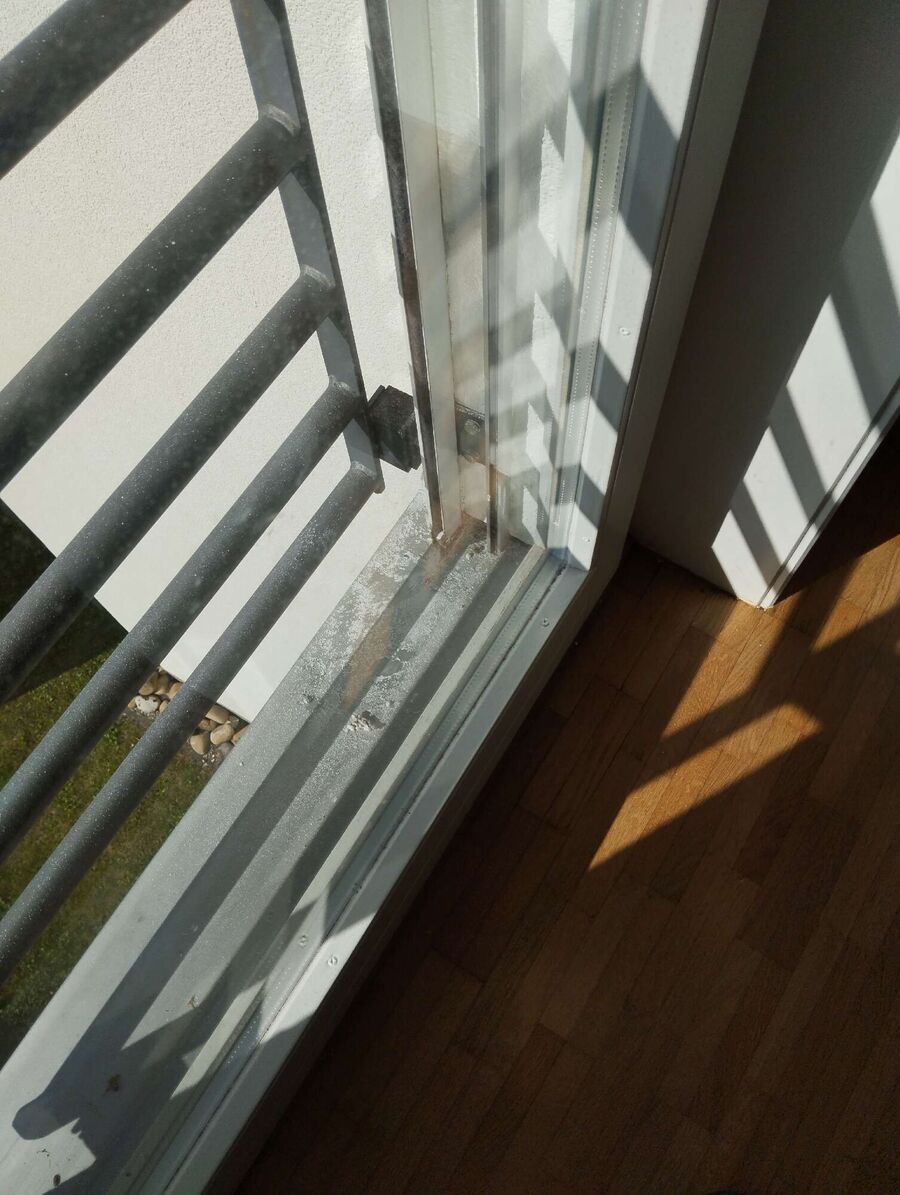 exterminateur d insectes a-Chigny.jpg