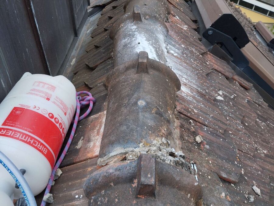 exterminateur d insectes a-Concise.jpg