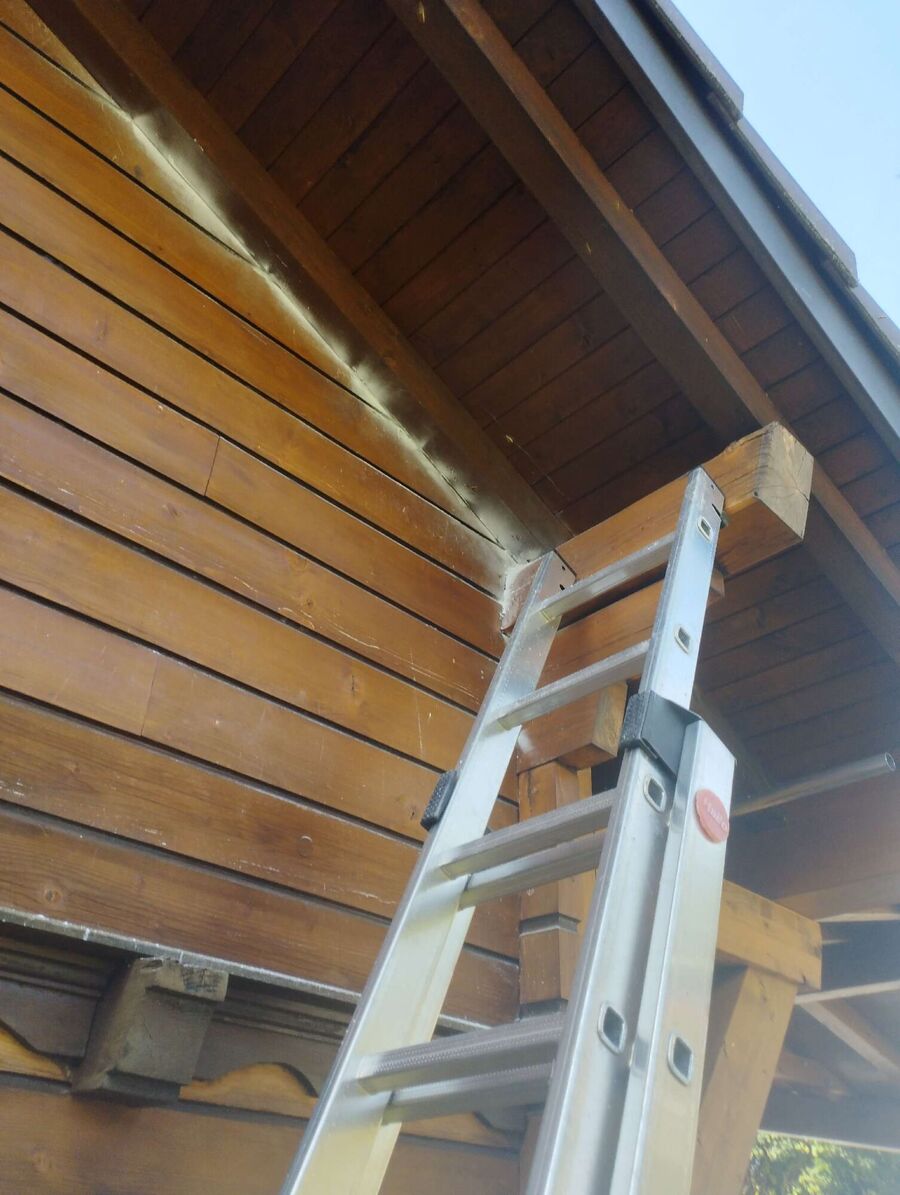 exterminateur d insectes a-Corsier (GE).jpg