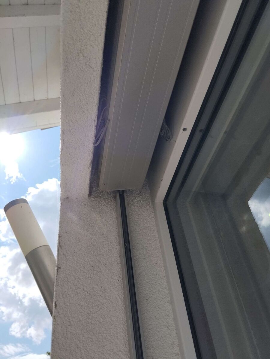 exterminateur d insectes a-Crans (VD).jpg