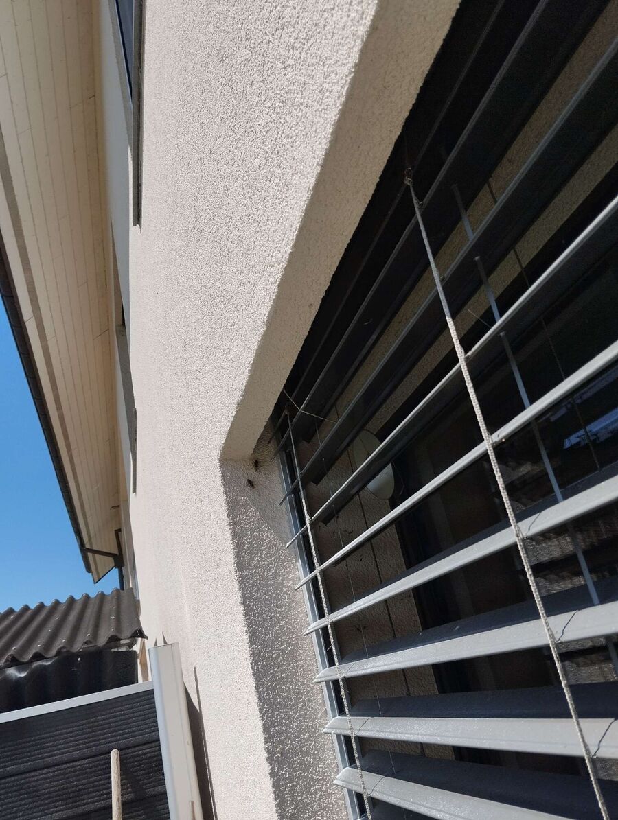 exterminateur d insectes a-Croy.jpg